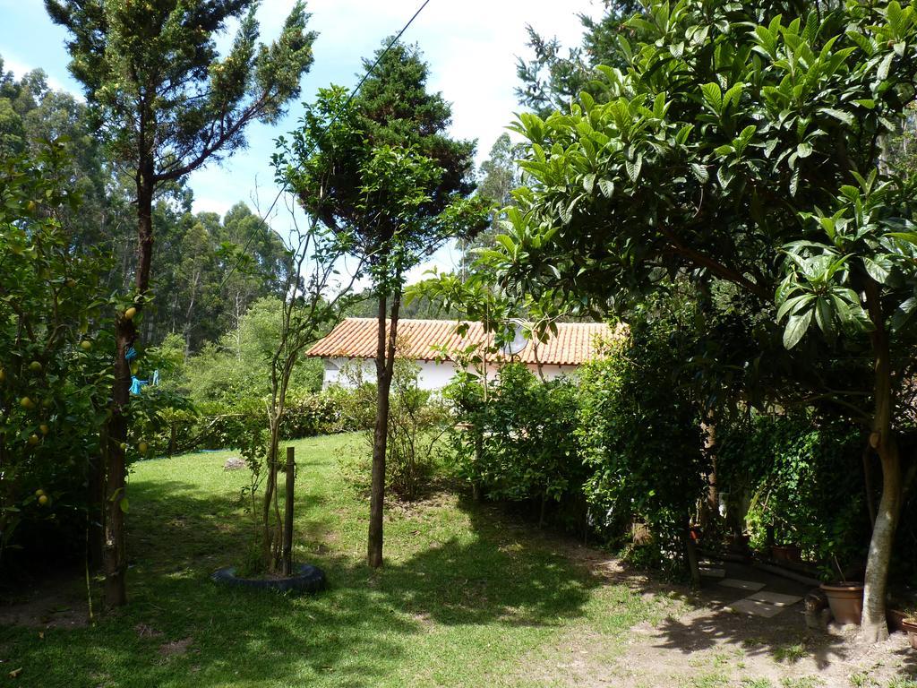Вилла Casa Da Azenha Branca Castelo Do Neiva Экстерьер фото